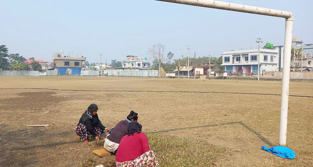 झापा गोल्डकपका लागि मैदान स्तरोन्नती