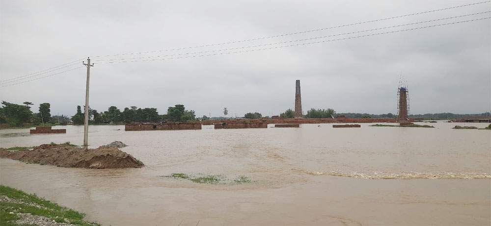 झापामा वर्षाले पाँच करोड २१ लाख बढीको अन्न–तरकारी बालीमा क्षति