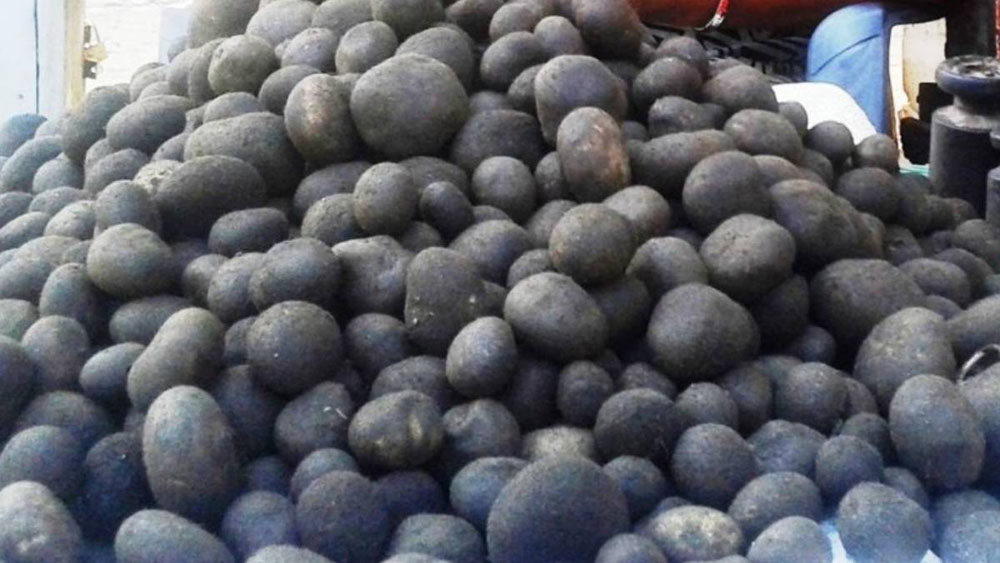 थारु भान्साबाट हराउँदै फुटकी च्याउको स्वाद