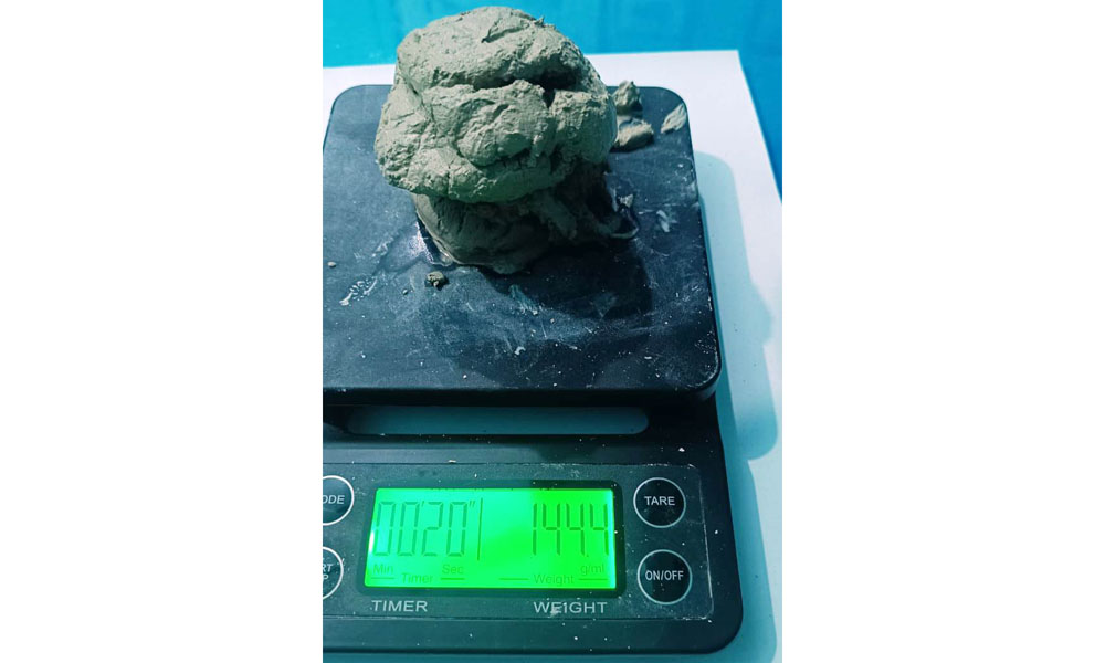 भद्रपुर विमानस्थलबाट १४४.४ ग्राम ब्राउनसुगरसहित महिला पक्राउ