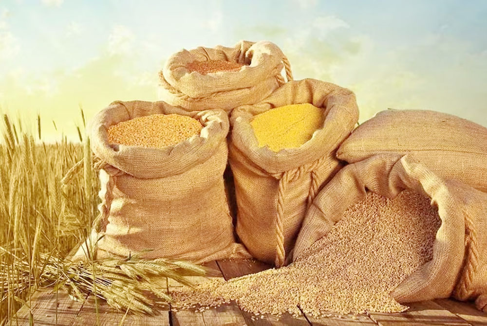 झापामा ७ लाख ६१ हजार मेट्रिक टन खाद्यान्न उत्पादन