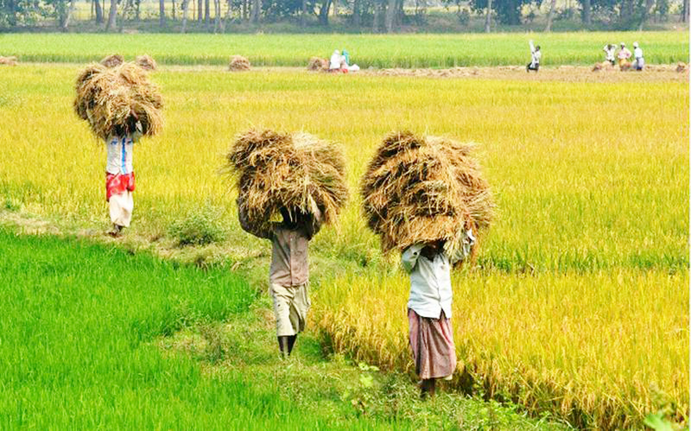 राष्ट्रिय कृषि नीति, २०८३ जारी, कृषि आधुनिकीकरणमा जोड