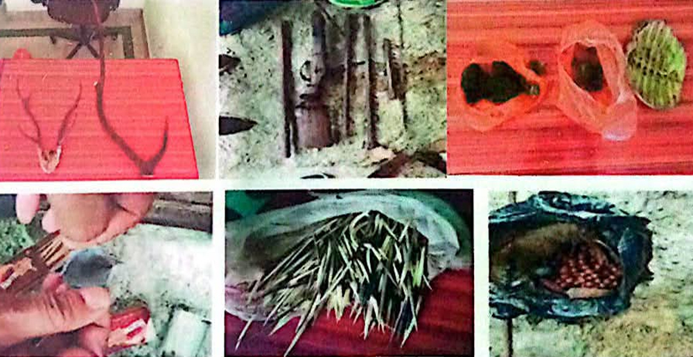 झापामा अवैध हतियार र वन्यजन्तुको अखेटोपहारसहित एक जना पक्राउ